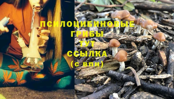 мескалин Медногорск